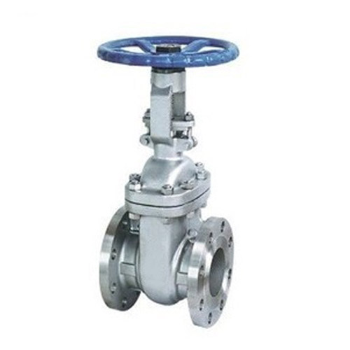 Stainless Steel Gate Valve F/T